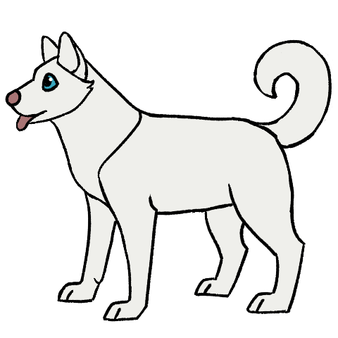 Dominant White